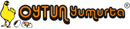 OYTUN YUMURTA